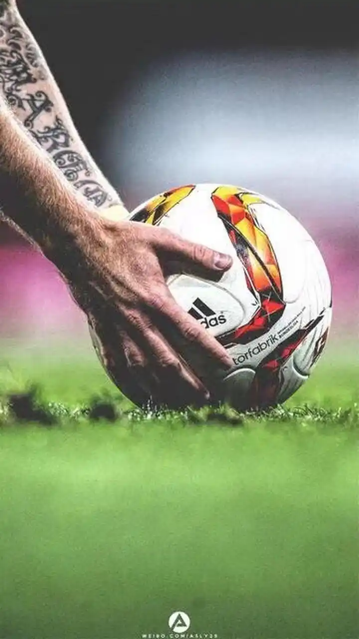 不仅是对自 不仅是对自