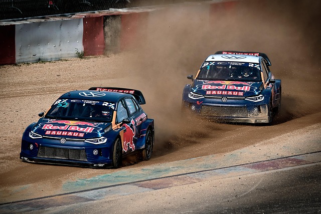 紧急回国奔 紧急回国奔